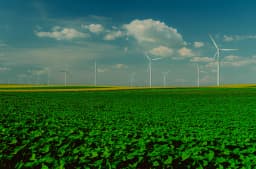 Truly Sustainable Insurance: Avoiding the Greenwashing Trap