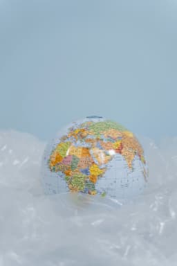 Unmasking Green Insurance: Essential Questions for Eco-Consumers